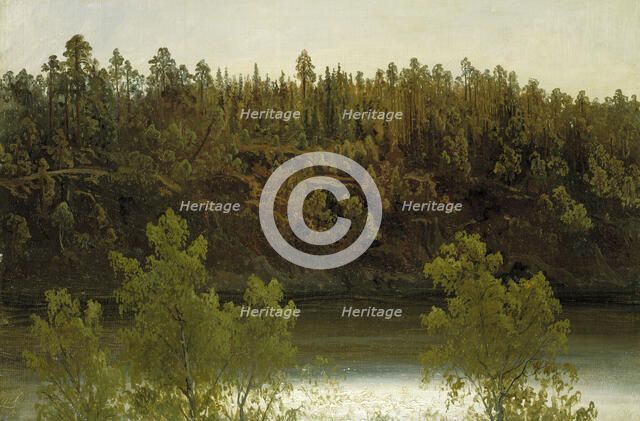 Swedish Lake. Study, 1853. Creator: Markus Larsson.