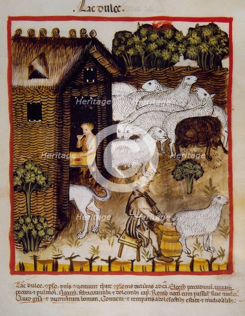 Sweet milk, 14th century.  Creator: Unknown.