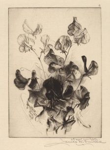 Sweet Peas, 1891. Creator: James David Smillie