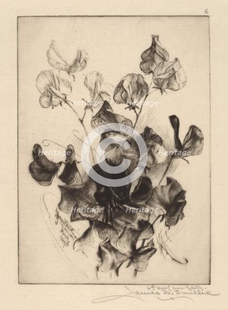 Sweet Peas, 1891. Creator: James David Smillie.