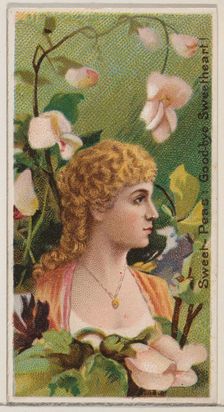 Sweet-Peas: Goodbye Sweetheart!, from the series Floral Beauties and Language of Flowers (..., 1892. Creator: Donaldson Brothers