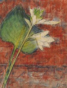 Sweetheart lilies on a red background, 1934. Creator: Rohlfs, Christian (1849-1938)