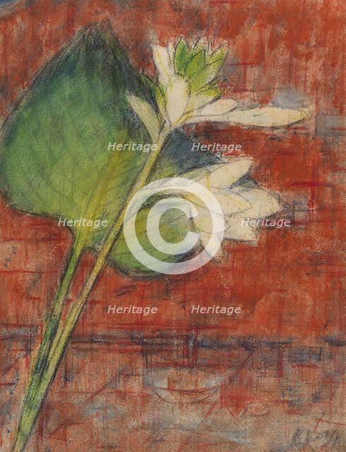 Sweetheart lilies on a red background, 1934. Creator: Rohlfs, Christian (1849-1938).