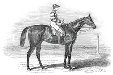 Sweetmeat, the winner of the Doncaster Plate, 1845. Creator: Unknown