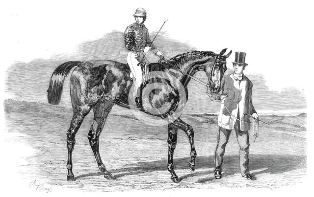 Sweetsauce, the winner of the Stewards' and the Goodwood Cups, 1860. Creator: Unknown.
