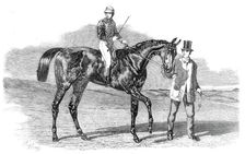 Sweetsauce, the winner of the Stewards and the Goodwood Cups, 1860. Creator: Unknown