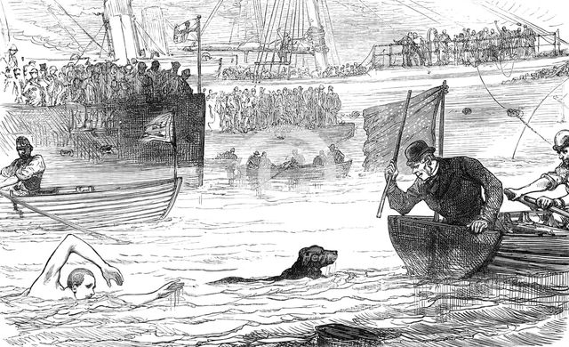 Swimming-match between a dog and a man, 1880. Creator: Unknown.