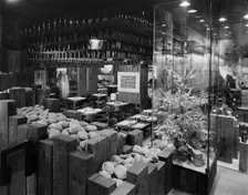 Swiss Centre, Coventry Street, Leicester Square, City of Westminster, GLA, 19/12/1967