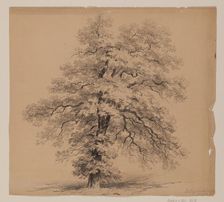 Switzerland, September 15, 1840. Creator: John William Casilear