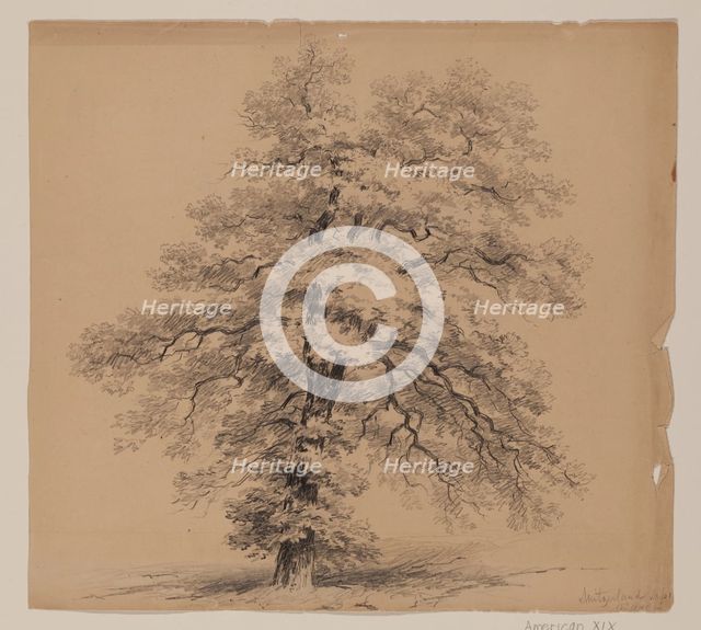 Switzerland, September 15, 1840. Creator: John William Casilear.