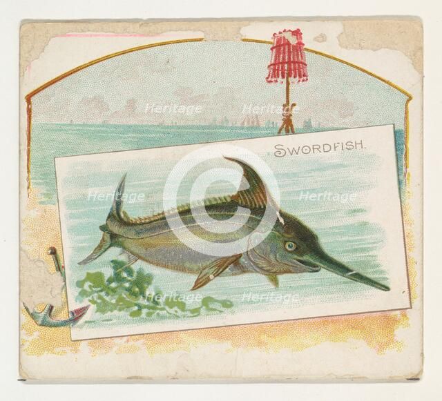 Swordfish, from Fish from American Waters series (N39) for Allen & Ginter Cigarettes, 1889. Creator: Allen & Ginter.
