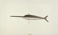Swordfish Weather Vane, 1938. Creator: Robert Pohle