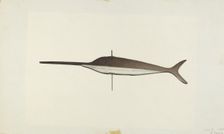 Swordfish Weather Vane, 1938. Creator: Robert Pohle
