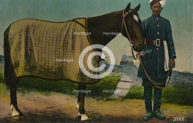 'Syce', c1910. Artist: Unknown.