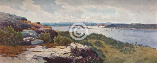 'Sydney From Vaucluse', c1906. Artist: Henri Tebbitt.
