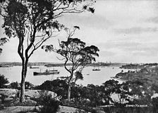 Sydney Harbour, from Cremorne Point, c1900. Creator: Unknown