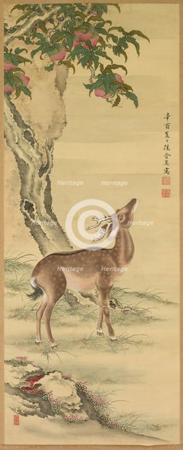 Symbols of Longevity: Deer under Peach and Pine , 1801. Creator: Toda Tadanaka (Japanese, 1761-1823).