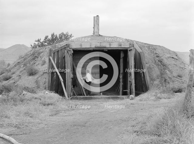 Potato cellar in the Klamath Basin..., Merrill, Klamath County, Oregon, 1939. Creator: Dorothea Lange.