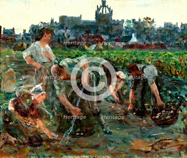 Potato Diggers, Kings College, c1900s. Creator: George Sherwood Hunter.