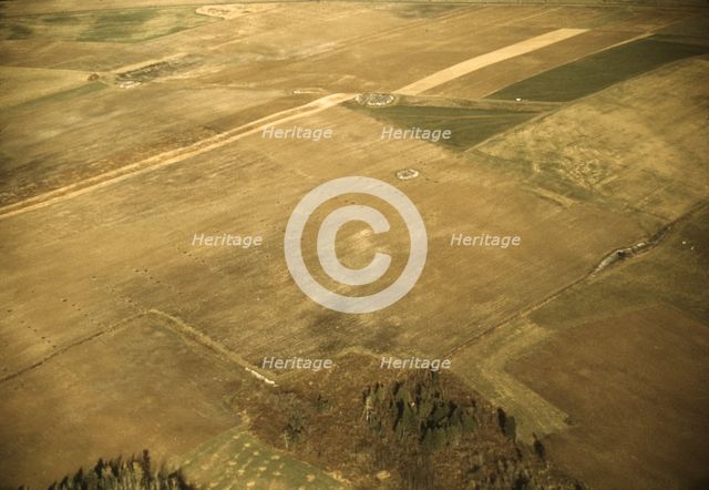 Potato farm in Aroostook county, Maine., after the potatoes have been harvested, 1940. Creator: Jack Delano.