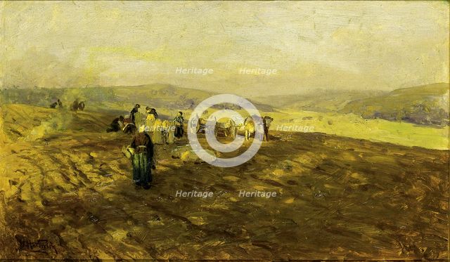 Potato Gleaners, n.d. Creator: Herman Hartwich.