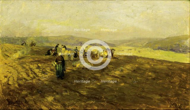 Potato Gleaners, n.d. Creator: Herman Hartwich.