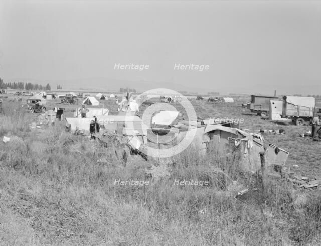 Potato pickers' camp, Tulelake, Siskiyou County, California, 1939. Creator: Dorothea Lange.