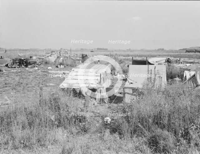 Potato pickers' camp, Tulelake, Siskiyou County, California, 1939. Creator: Dorothea Lange.