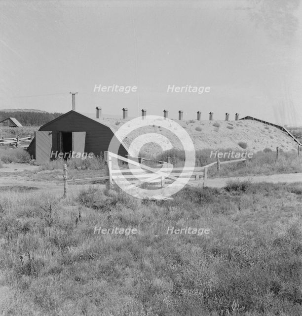 Potato storage cellar in Klamath Basin, where potatoes are raised, Klamath County, Oregon, 1939. Creator: Dorothea Lange.