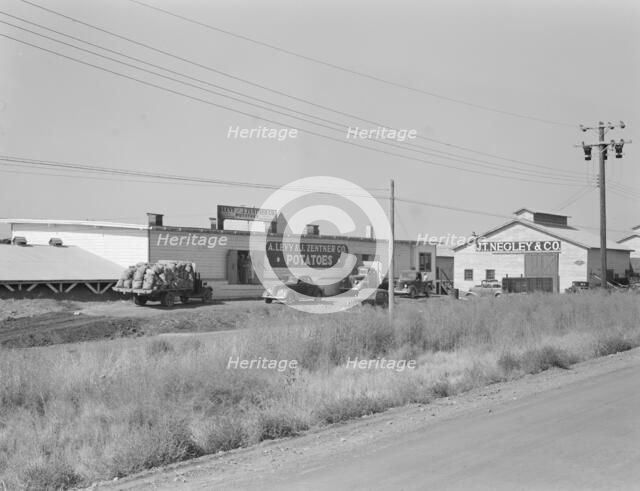 Potato sheds during season, across the road from the..., Tulelake, Siskiyou County, California, 1939 Creator: Dorothea Lange.