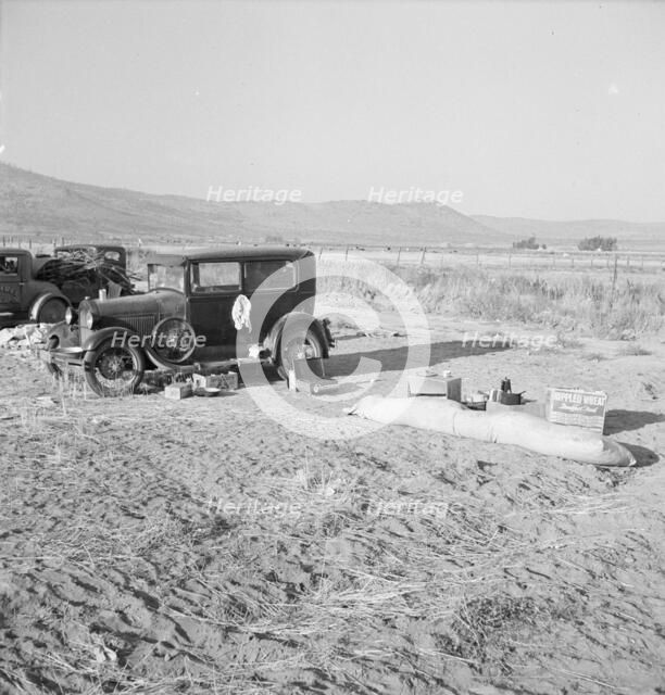 Potato workers camp, no tents, waiting for..., Outskirts of Merrill, Klamath County, Oregon, 1939. Creator: Dorothea Lange.