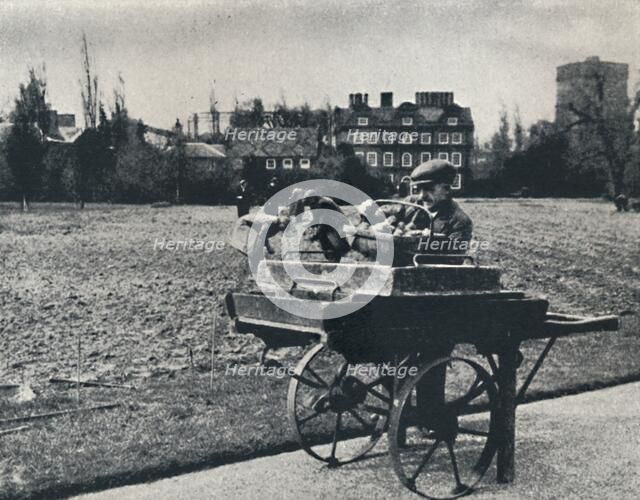 'Potatoes in Kew Gardens', 1941. Artist: Cecil Beaton.