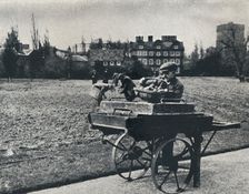 Potatoes in Kew Gardens 1941. Artist: Cecil Beaton