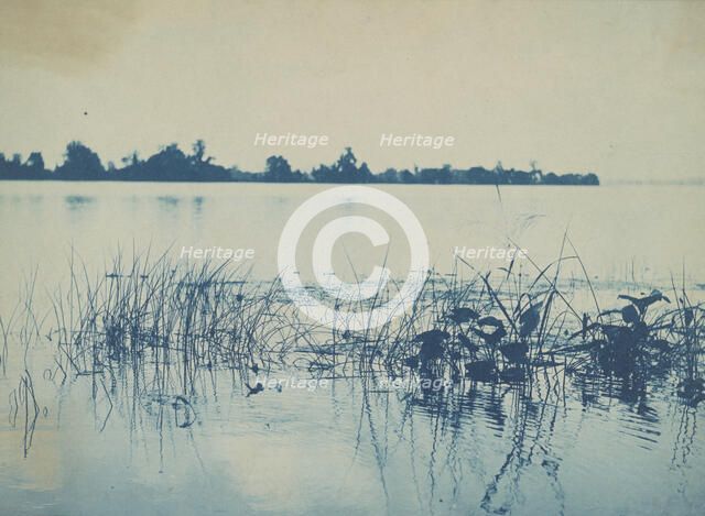 Potomac River, c1898. Creator: Frances Benjamin Johnston.