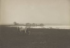 Potomac River from below Alexandria, Virginia, c1895. Creator: Frances Benjamin Johnston