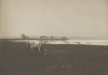 Potomac River from below Alexandria, Virginia, c1895. Creator: Frances Benjamin Johnston
