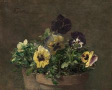 Potted Pansies, 1883. Creator: Henri Fantin-Latour