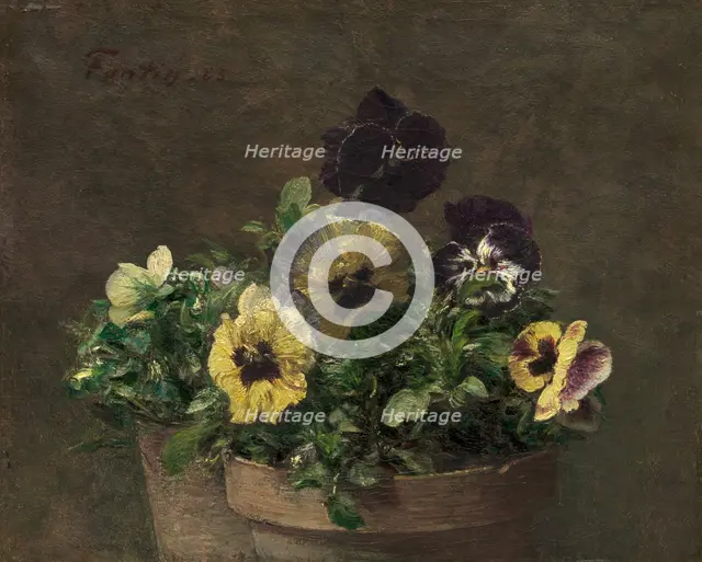 Potted Pansies, 1883. Creator: Henri Fantin-Latour.