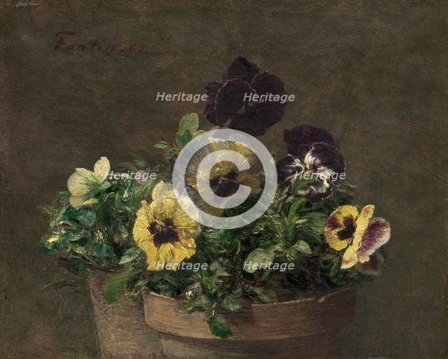 Potted Pansies, 1883. Creator: Henri Fantin-Latour.