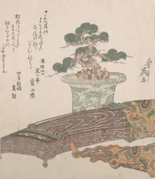 Potted Pine Tree and Koto (Japanese Harp), 19th century. Creator: Ikeda Eisen