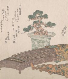Potted Pine Tree and Koto (Japanese Harp), 19th century. Creator: Ikeda Eisen