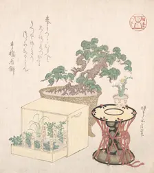 Potted Pine Tree, Drum and Seven Herbs Planted in a Box, 18th-19th century., 18th-19th century. Creator: Sunayama Gosei