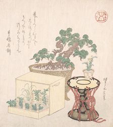 Potted Pine Tree, Drum and Seven Herbs Planted in a Box, 18th-19th century., 18th-19th century. Creator: Sunayama Gosei