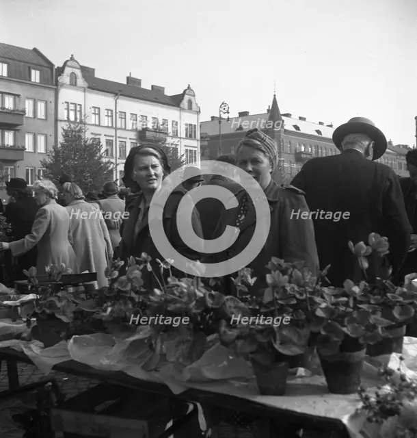 Potted plant stall in the market, Malmö, Sweden, 1947. Creator: Otto Ohm.