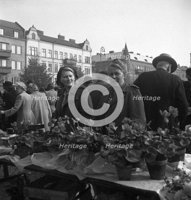 Potted plant stall in the market, Malmö, Sweden, 1947. Creator: Otto Ohm.
