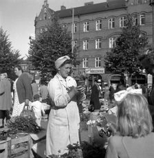 Potted plant stall in the market, Malmö, Sweden, 1947. Creator: Otto Ohm