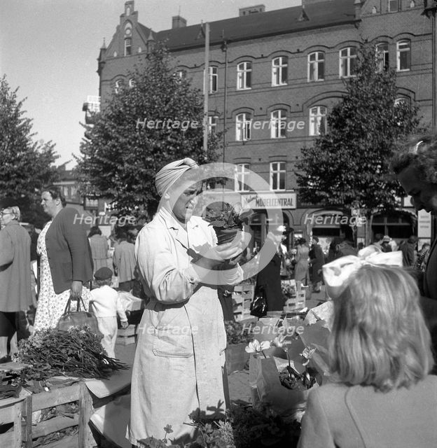 Potted plant stall in the market, Malmö, Sweden, 1947. Creator: Otto Ohm.