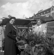Potted plant stall in the market, Malmö, Sweden, 1947. Creator: Otto Ohm