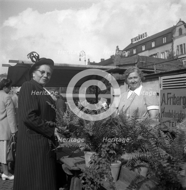 Potted plant stall in the market, Malmö, Sweden, 1947. Creator: Otto Ohm.