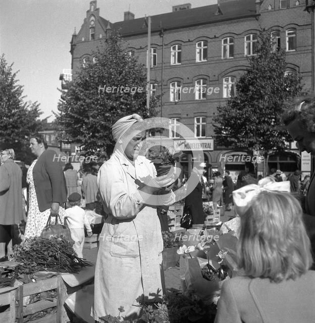 Potted plant stall in the market, Malmö, Sweden, 1947. Artist: Otto Ohm